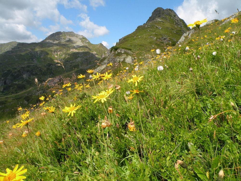 Premium Wanderhotel Steirerhof 4*