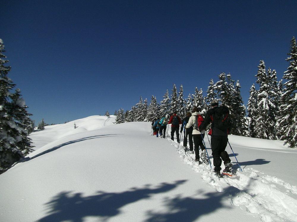 Premium Wanderhotel Steirerhof 4*
